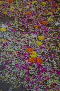 Flowers in Water Hydrabad