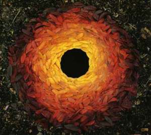 goldsworthy_rowanlevs